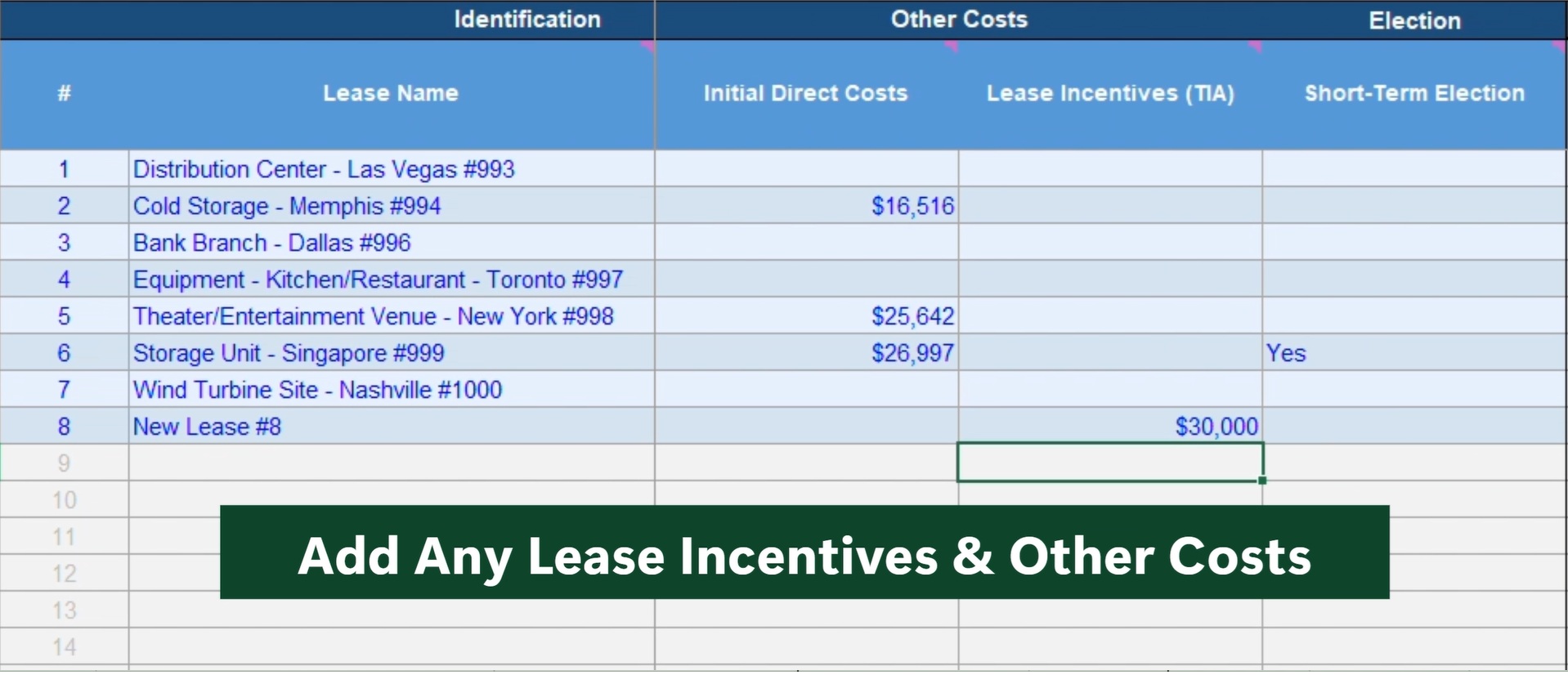 Lease incentives and other costs input table